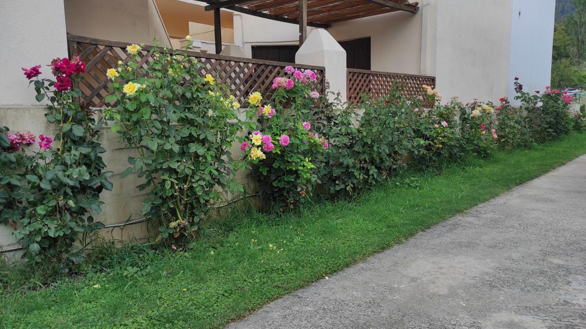 Kallisti Seaside Studios Skopelos Agnontas Zewnętrze zdjęcie
